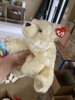 Baby Iceberg Beanie Baby