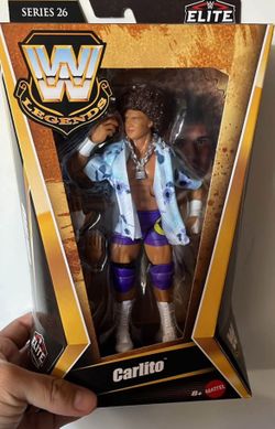 Wwe Action Figure