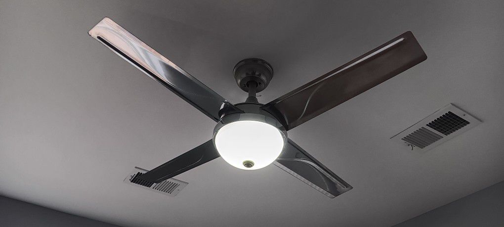 Modern Stainless Steel Tropical Ceiling Fan With Remote