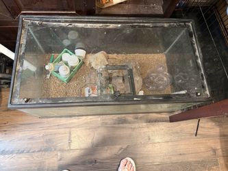 Glass reptile terrarium with screen lid