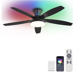 Ceiling Fan W/ Lights