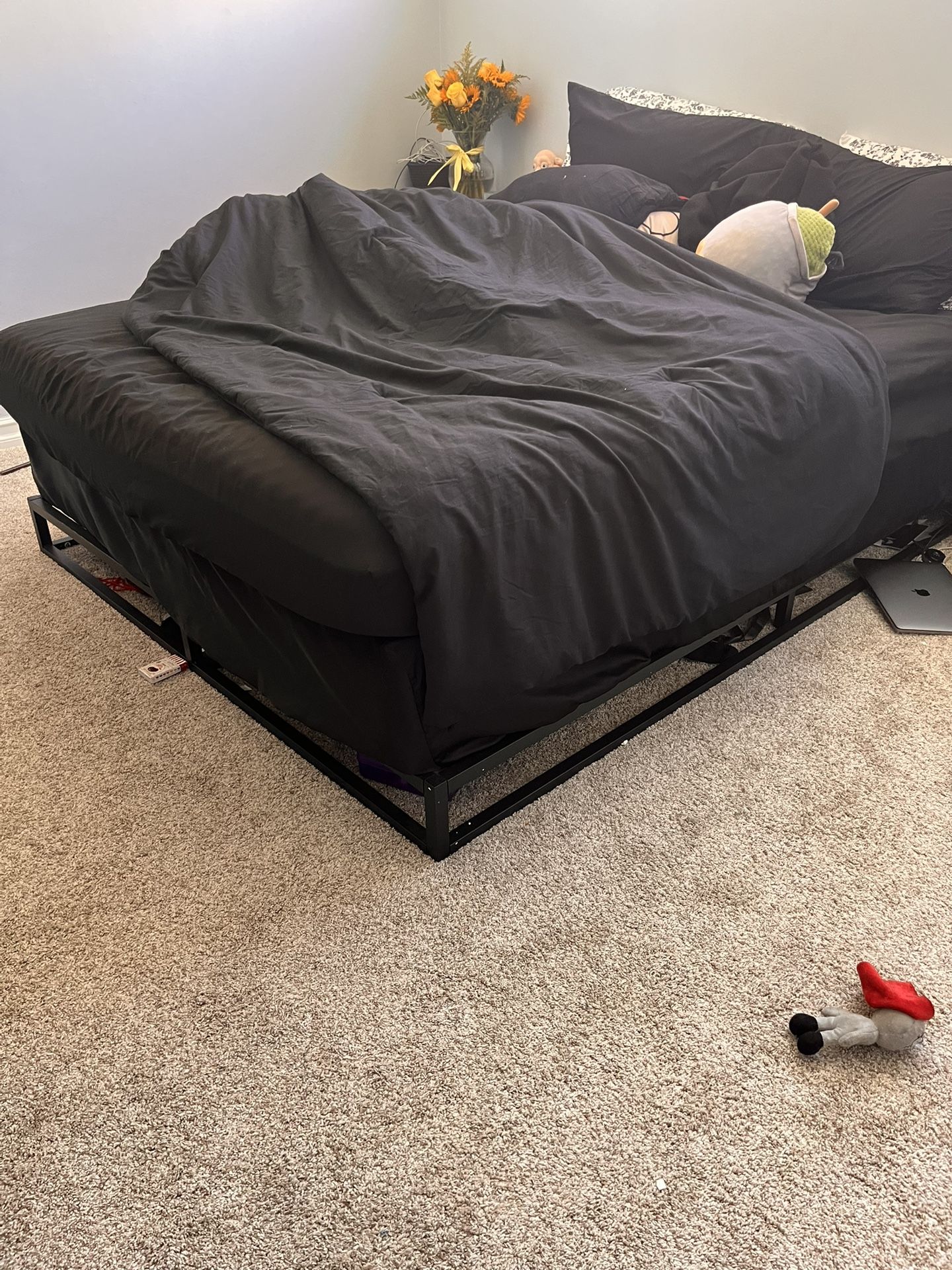 Queen Black Metal Bed Frame And Box Spring