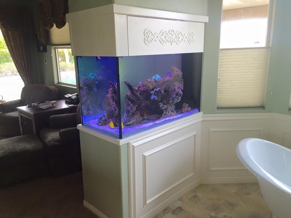 150 Gallon Aquarium