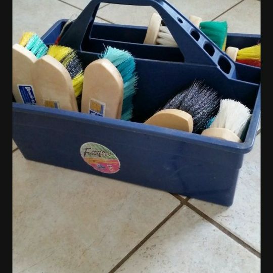 Horse Brushes