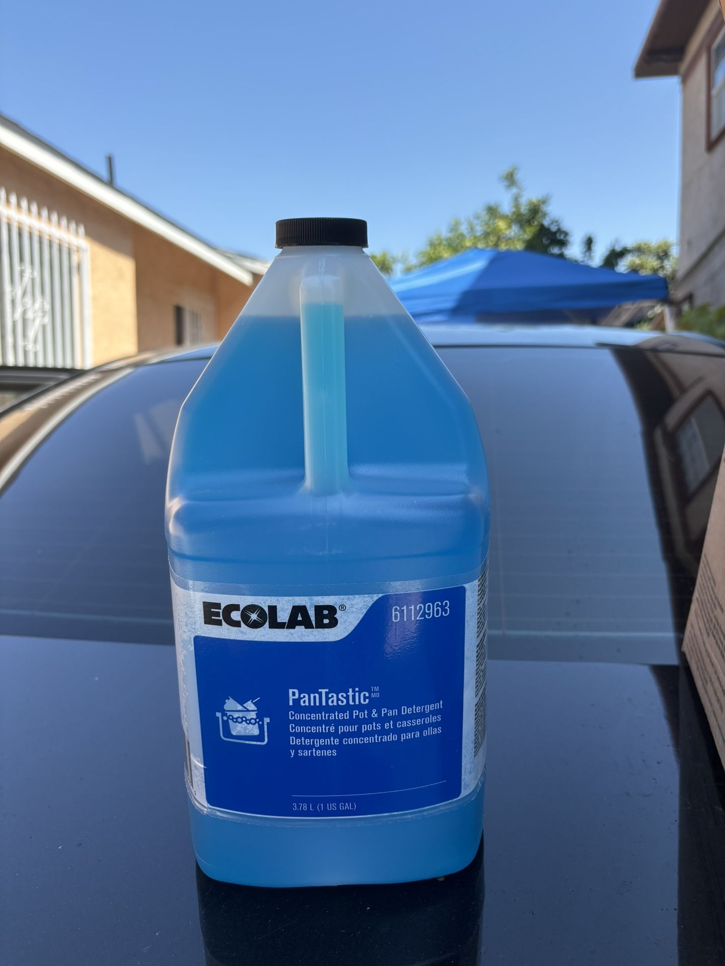 Ecolab PanTastic Pot & Pan Dish Detergent 1 Gallon Jug