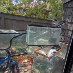 Fish Tanks For Sale!!!