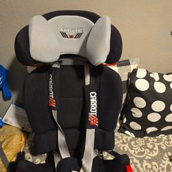 Special Needs Car Seat 
