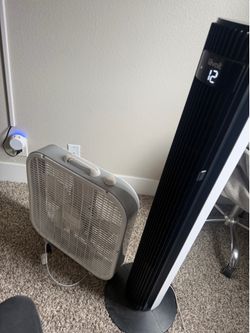 Fan