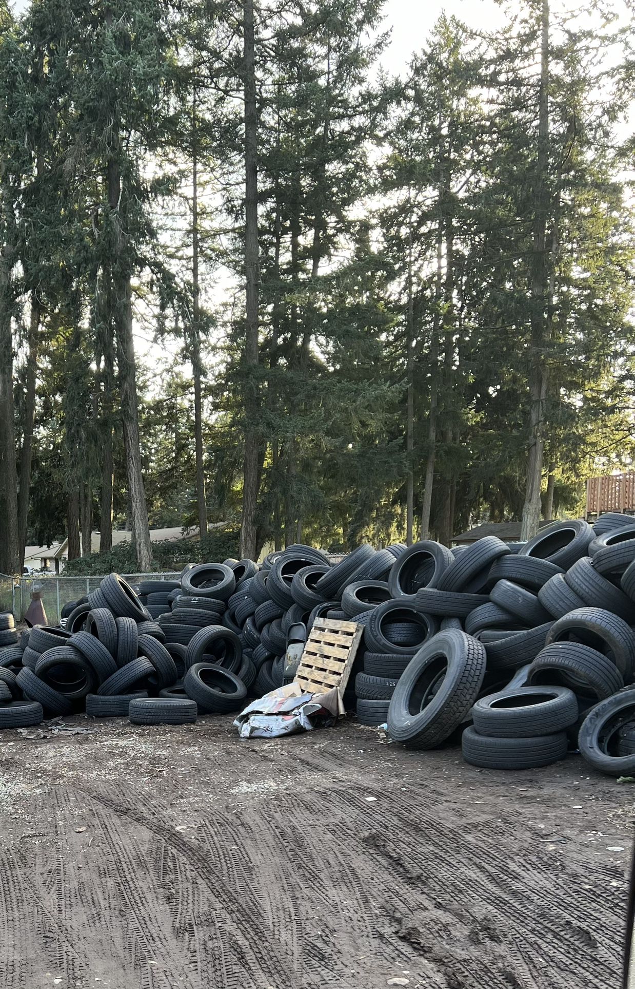 FREE TIRES…FREE TIRES 