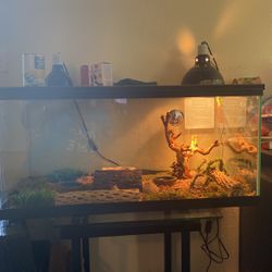 Two Nole Lizards  And Tank With Equipment
