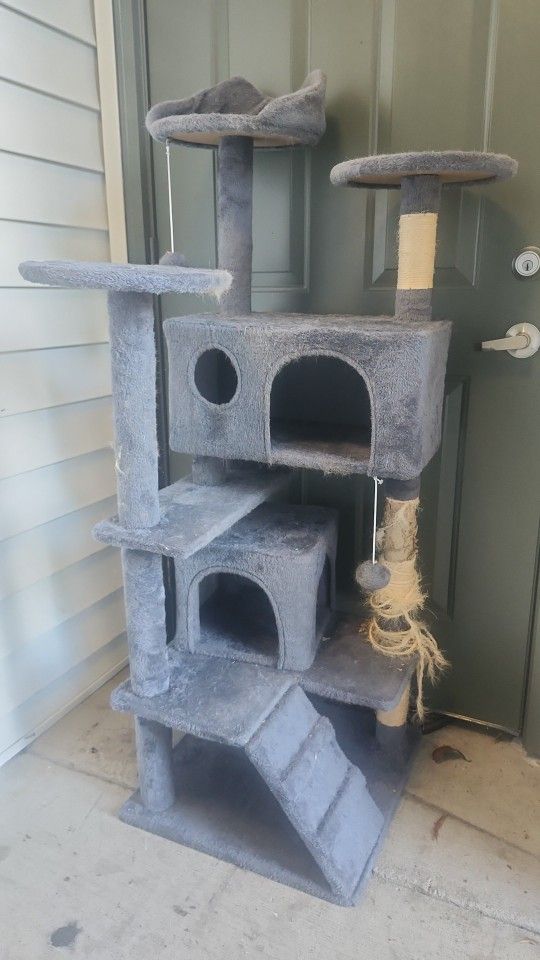 Kitty Carpet Tree Hangout