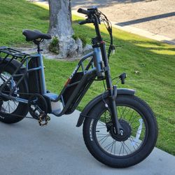 Fucare Gemini Sport Dual Motor E-Bike  Electric Bicycle Ebike Dual Battery Long Range 