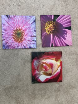 3painting