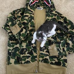 Bape hoodie 