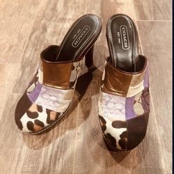 Women’s Coach Shoes 