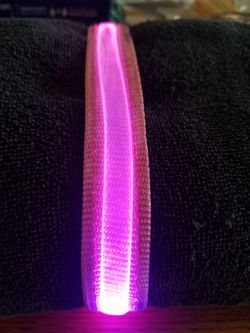 LED SAFETY DOG COLLAR