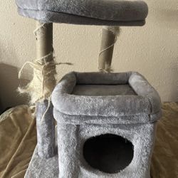 Cat House 