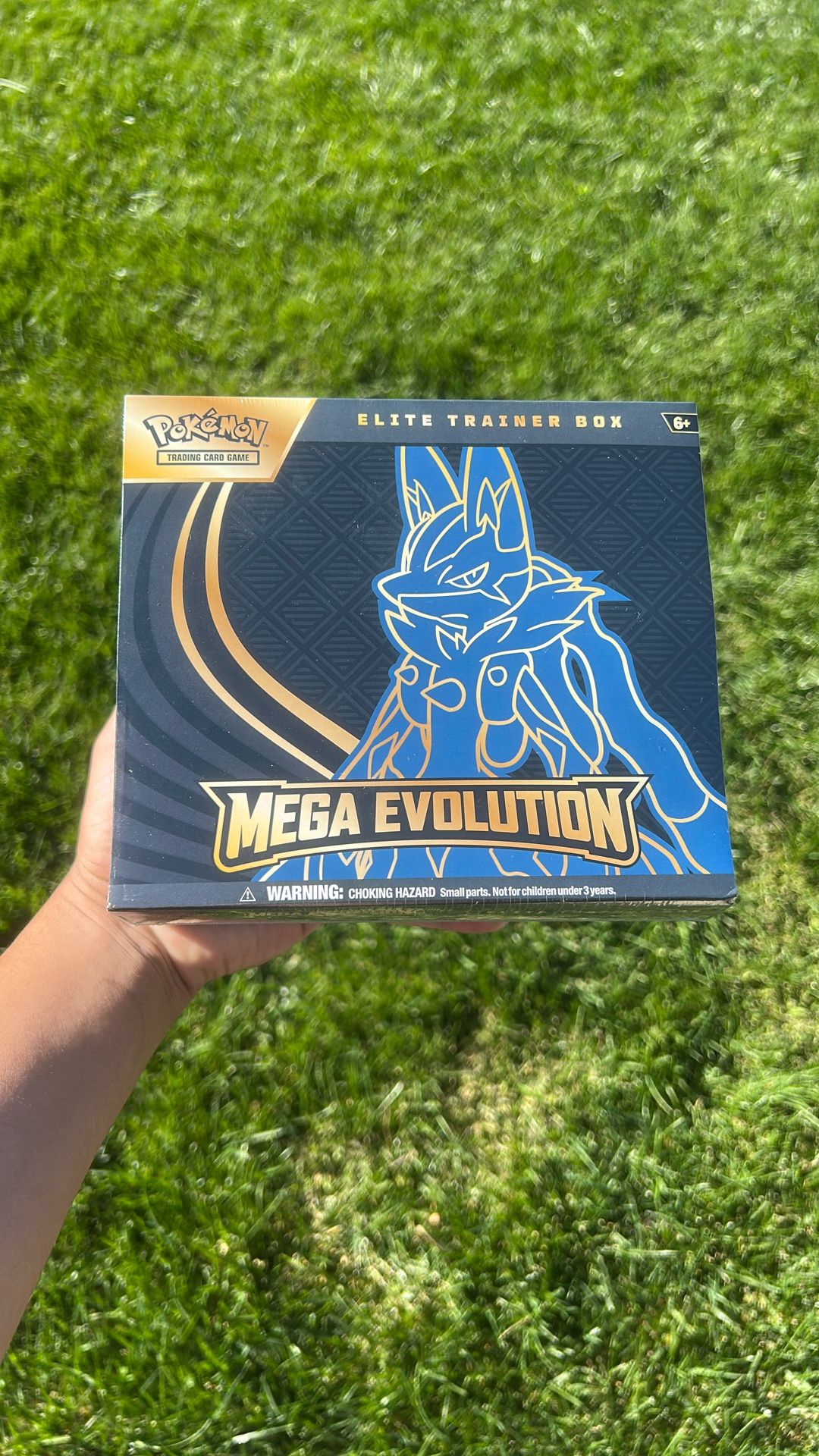 Pokemon Mega Evolution