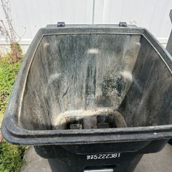 Trash Can Cleaning