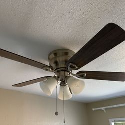Ceiling Fan with Lights