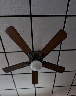 Ceiling fans