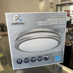 Energetic Lighting 14"