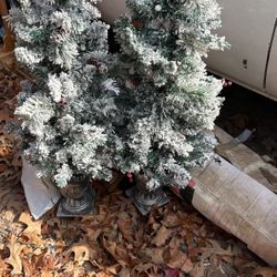Set Of Flocked Chrismas Trees 