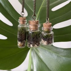 Terrarium Necklaces 
