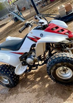 Raptor 80 cc