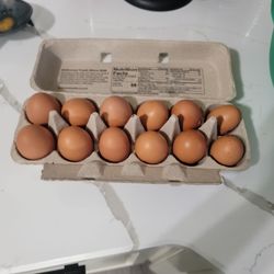 Fresh Eggs From The Farmer
