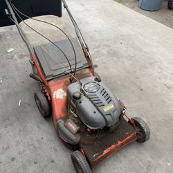 Lawnmower and weedeater