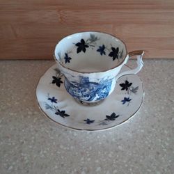 Vintage Royal Windsor Blue Cottage Scene Bone China Cup/Saucer