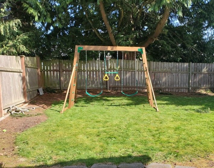 Swing Set With Monkey Bars