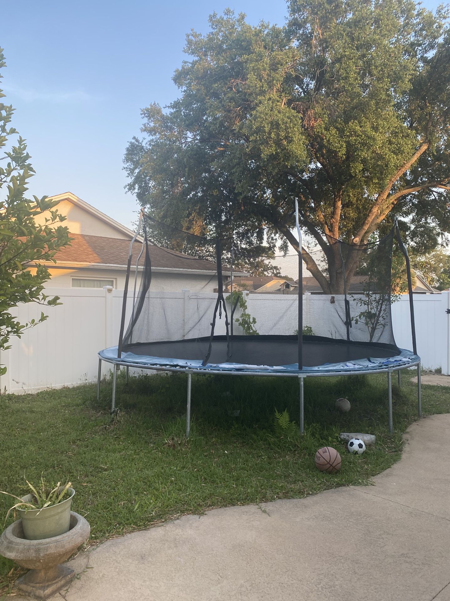 Trampoline