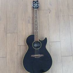 Schecter  6string Acoustic/electric Guitar 