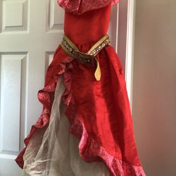 Elena of Avalor Costume 