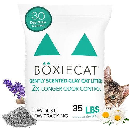 Boxiecat Gently Scented Premium Clumping Clay Cat Litter 35lb