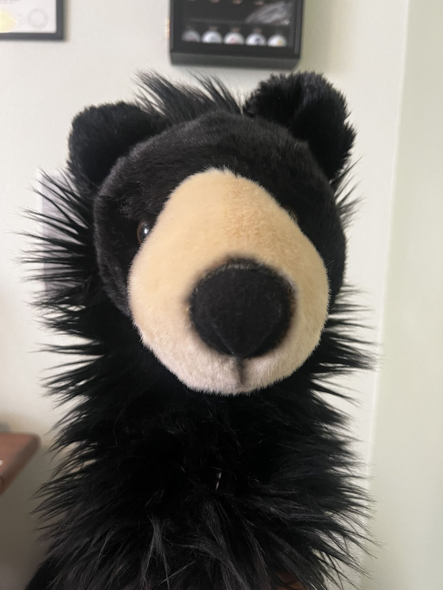 Daphnes Black Bear Headcover