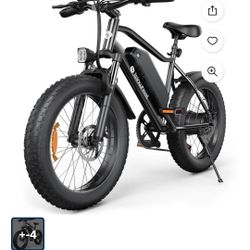 Electric Bike