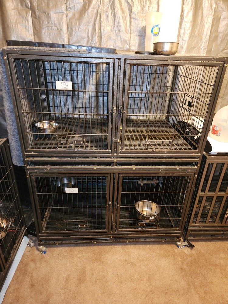 Stackable Dog Drop Tray Kennels