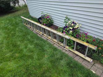 24' Foot Adjustable Ladder