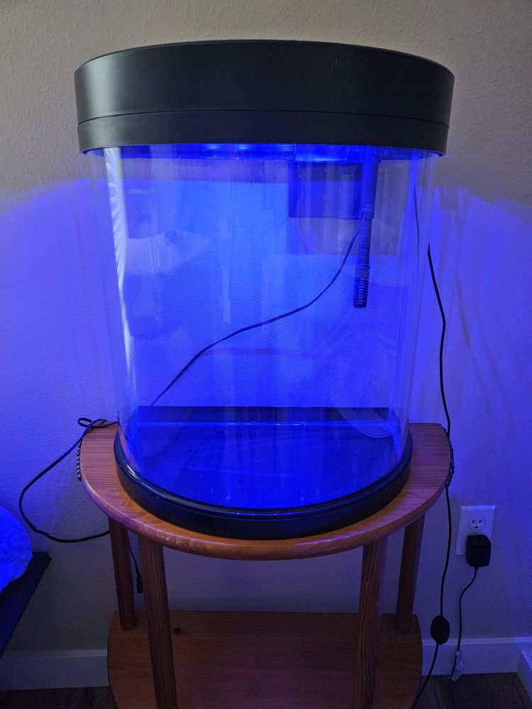 Fish Tank and Others
