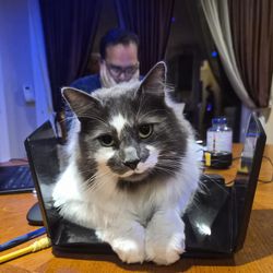 Nighthawk Netgear Ax12 Router Dual Band