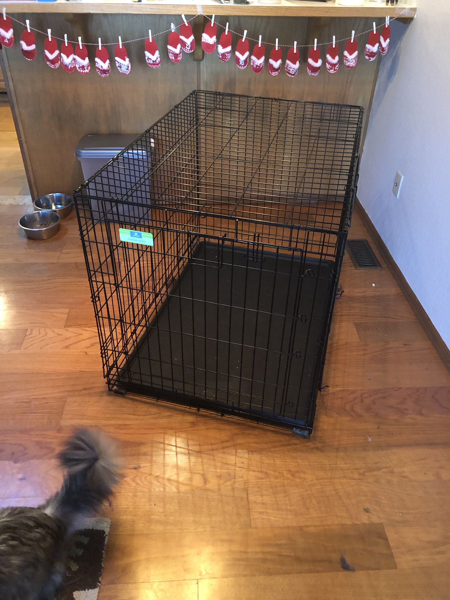 Extra large dog kennel