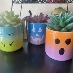 Halloween Pastel Succulent Planes