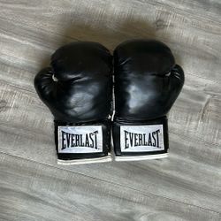 EverLast Boxing Gloves 