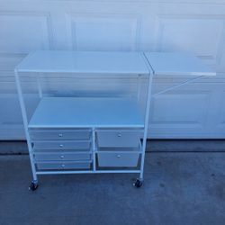Rolling Organizer