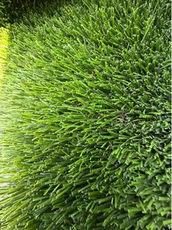 15 by 50 New Turf rolls! $1,050