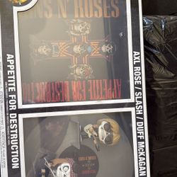 Guns And Roses Funko Pop Album