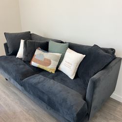 Brand New Couch 